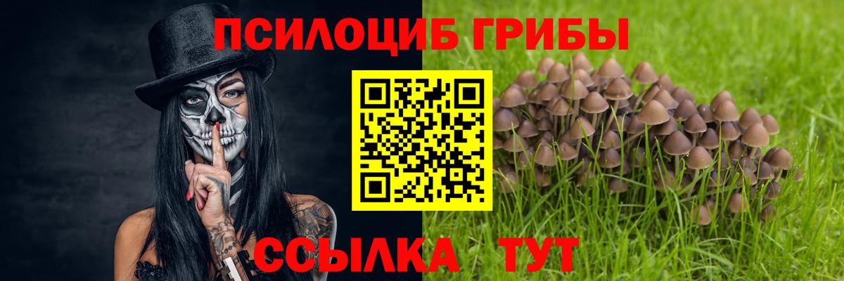 Псилоцибиновые грибы Cubensis Новый Уренгой